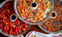 8 things about dehydrating food that everybody should know